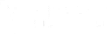 Visagan Digital Edge Academy